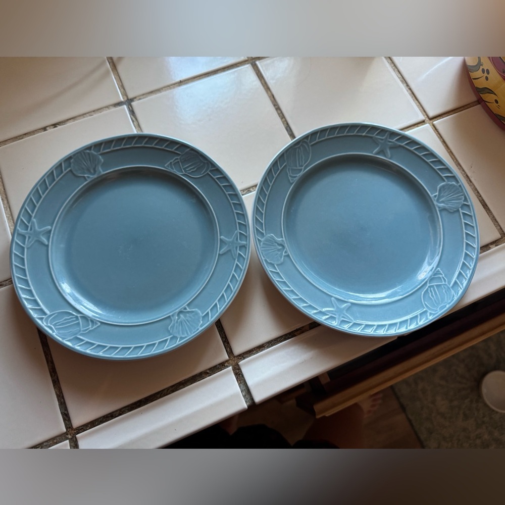 Set of Two Pfaltzgraff Blue Nautical Side Dessert Plates